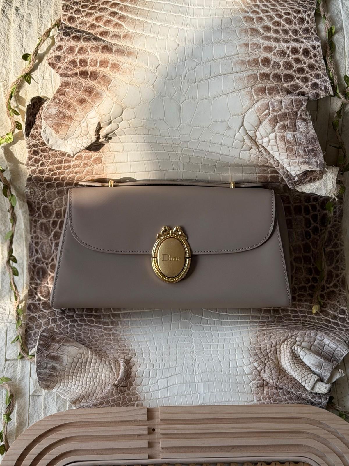 Dior Medaillon envelope pouch in smooth calfskin · 2