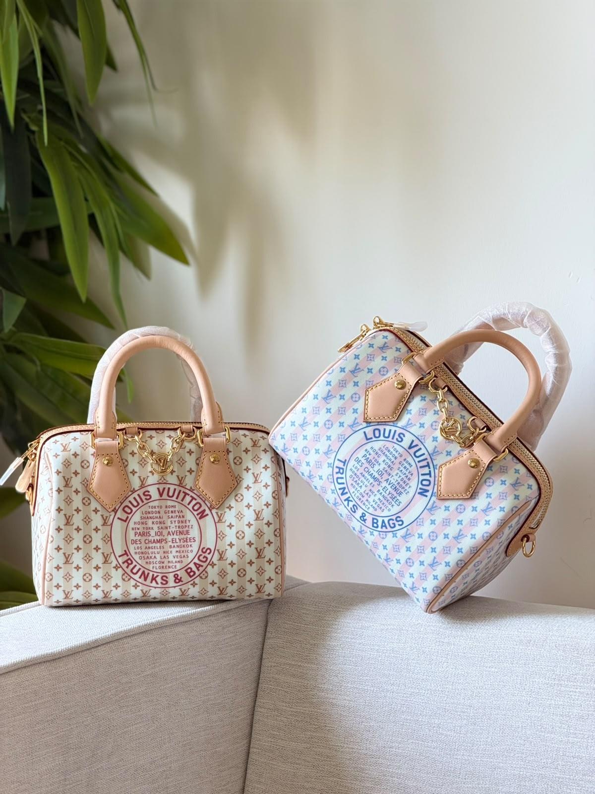 حقيبة لويس فيتون سبيدي من قماش المونوغرام (Louis Vuitton) · 3