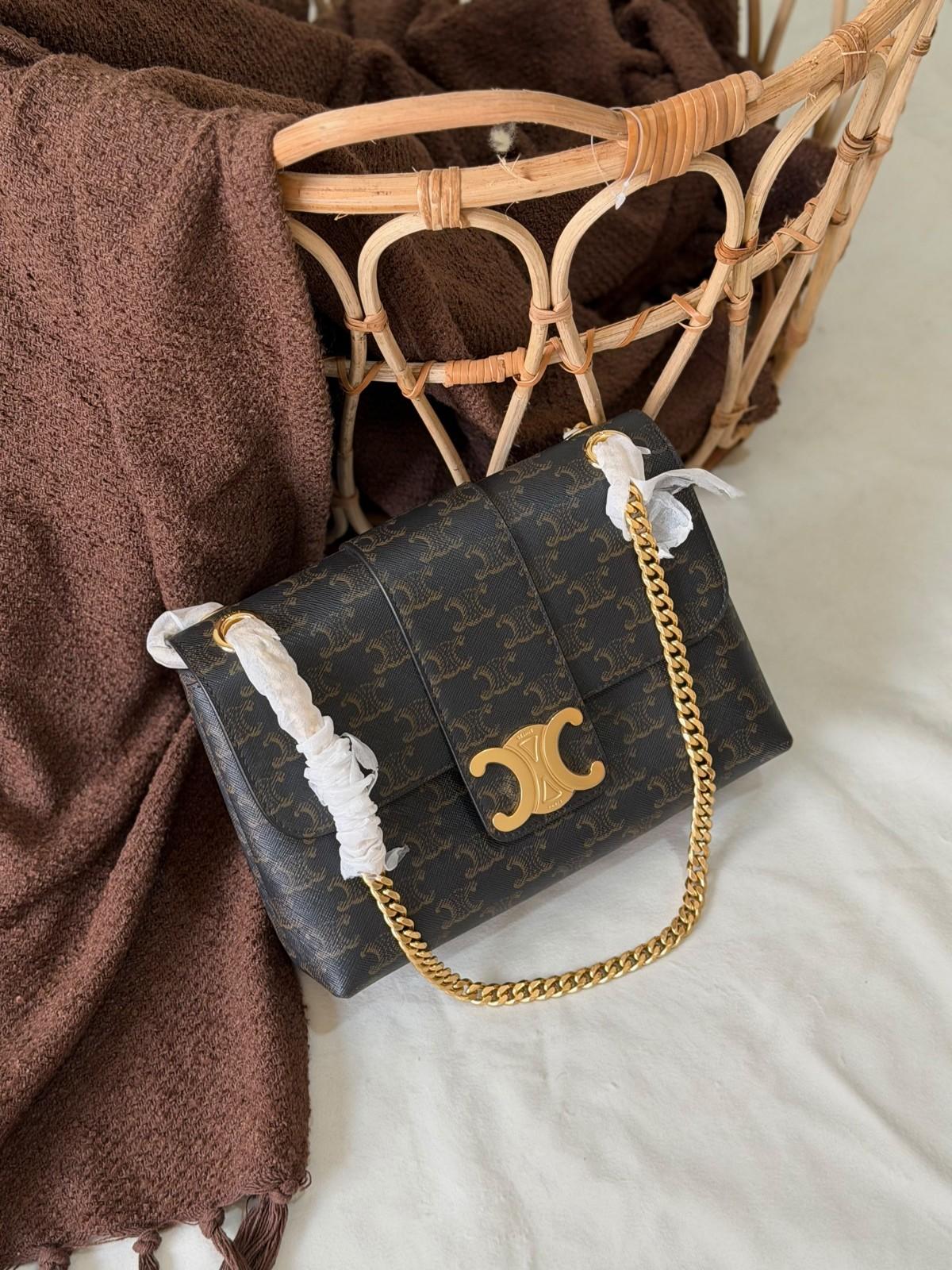 Celine Triomphe chain shoulder bag in calfskin and Triomphe canvas · 2