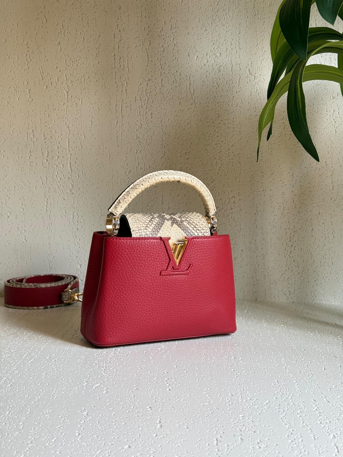Louis Vuitton Capucines BB in Taurillon Leather with Python Handle · 2